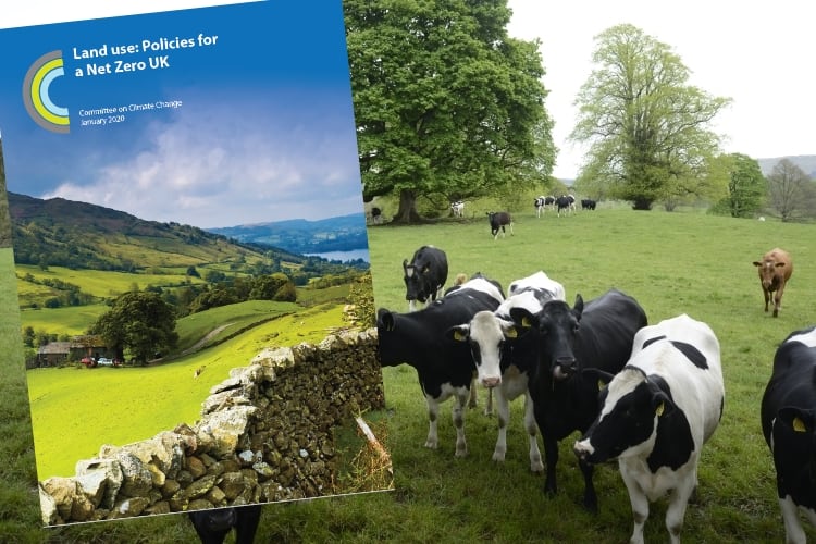 UK report recommends dairy reduction of 20%