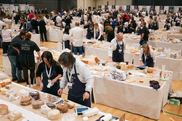 World Cheese Awards 2024 opens for entries