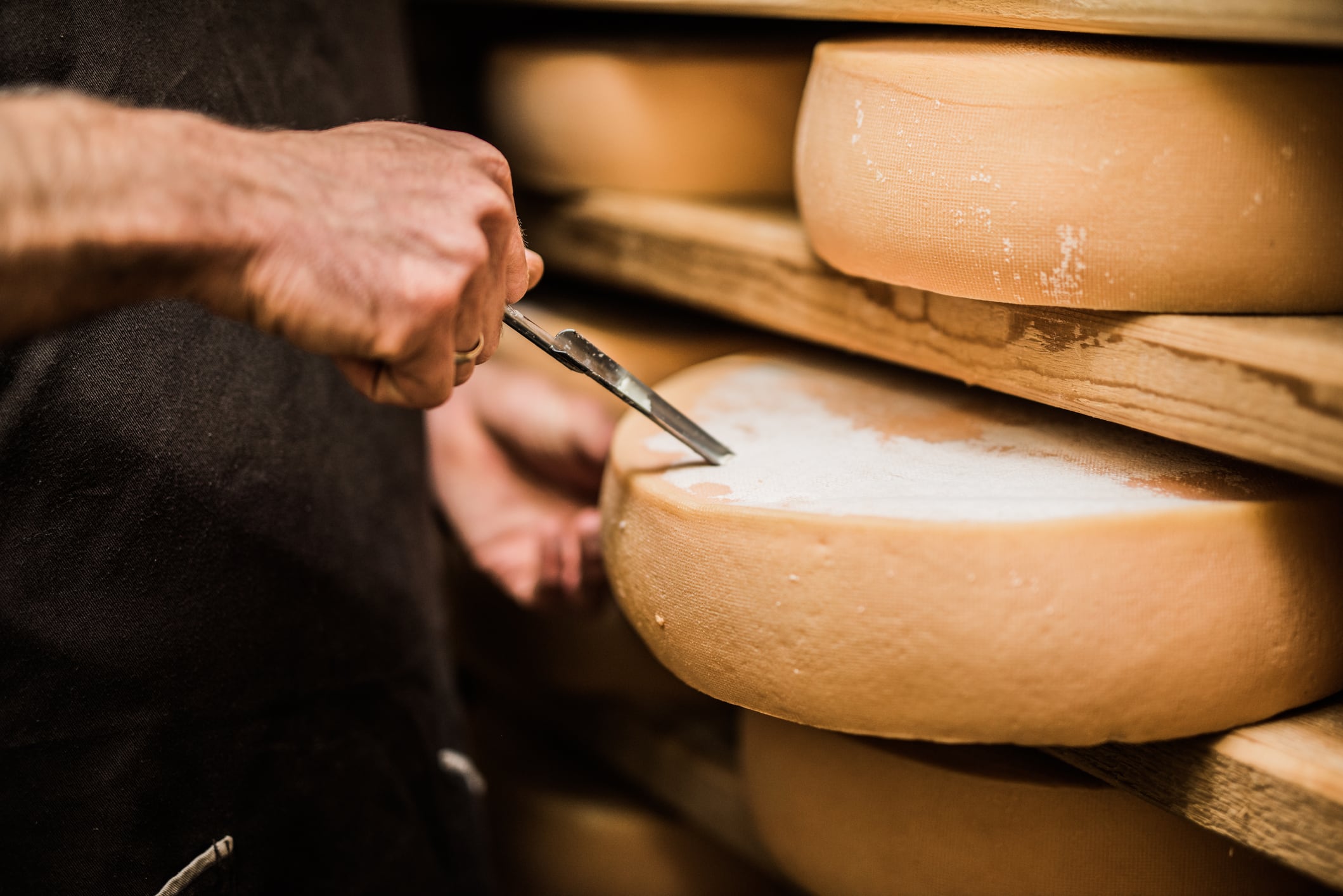 Are four casein proteins better than one? Better Dairy mimics ripened cheese