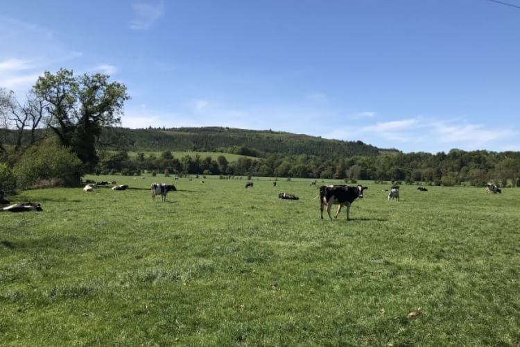 Project gets funding to develop digital dairy