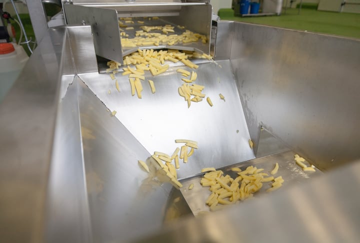 Can potato waste boost milk production and efficiency in dairy cows?