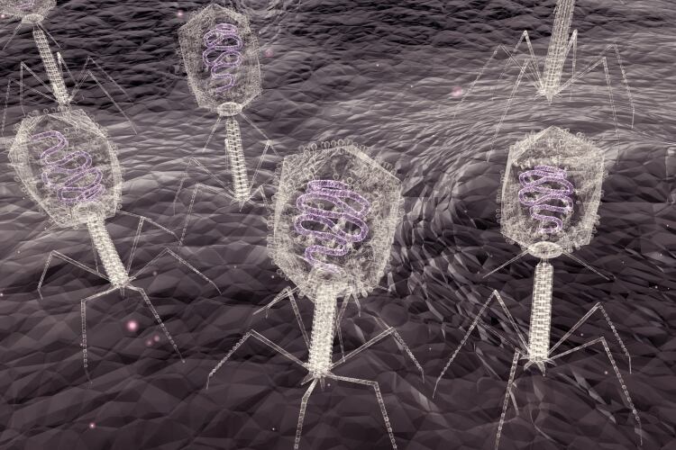 How IFF ‘library’ helps dairy producers fight phage infection