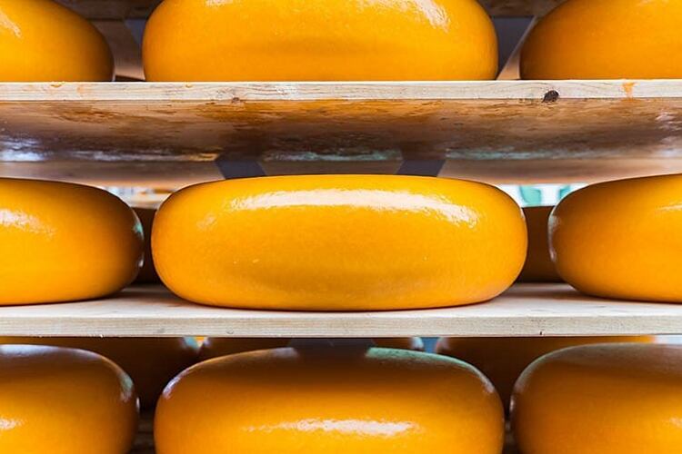 Tetra Pak introduces 14 lines for cheese manufacturers