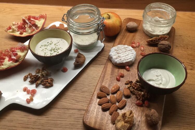 Standing Ovation: “Consumers are craving non-animal cheese”