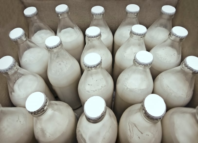 milk-dairy-drink-calcium.jpg