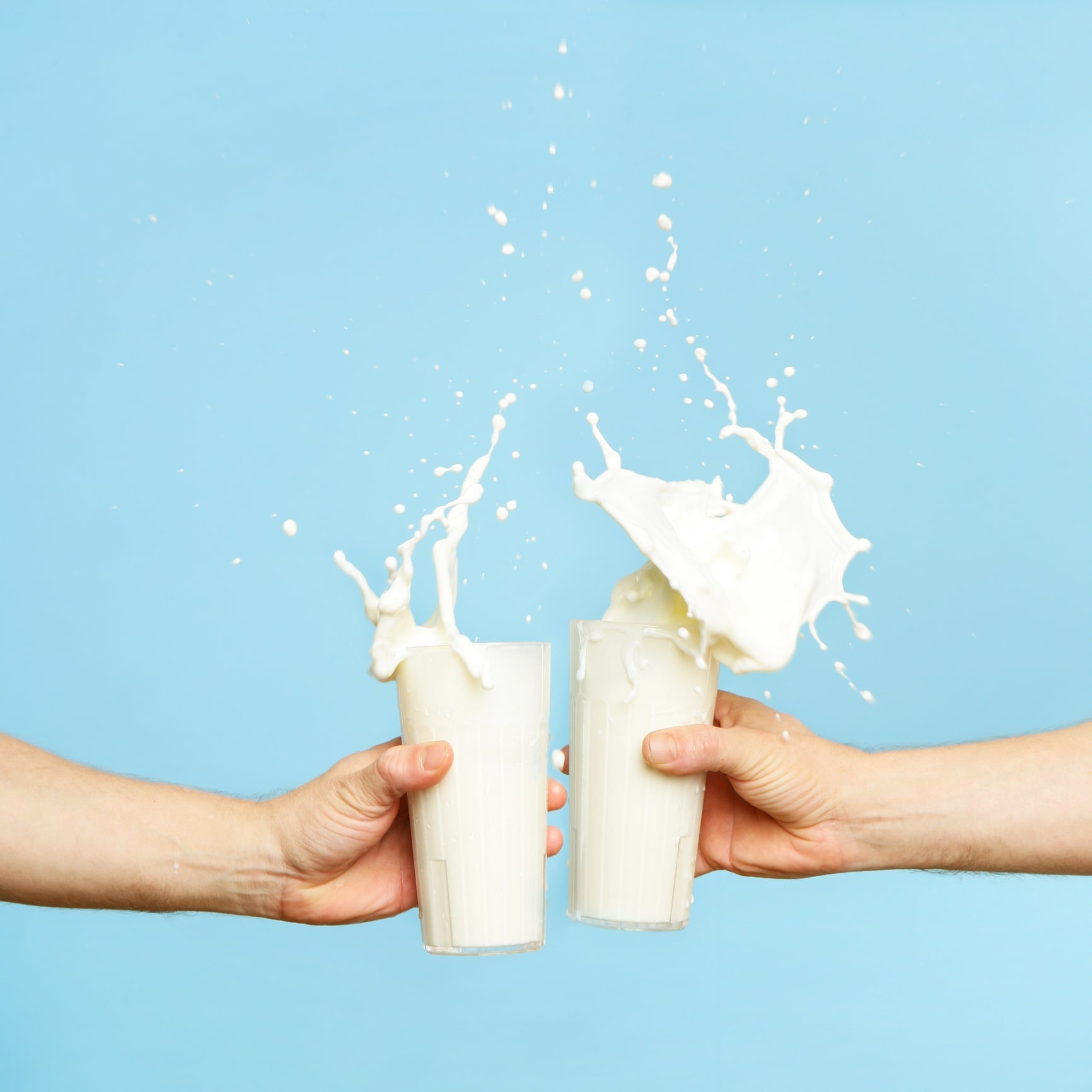 Toasting with two glasses of milk. Blue background.