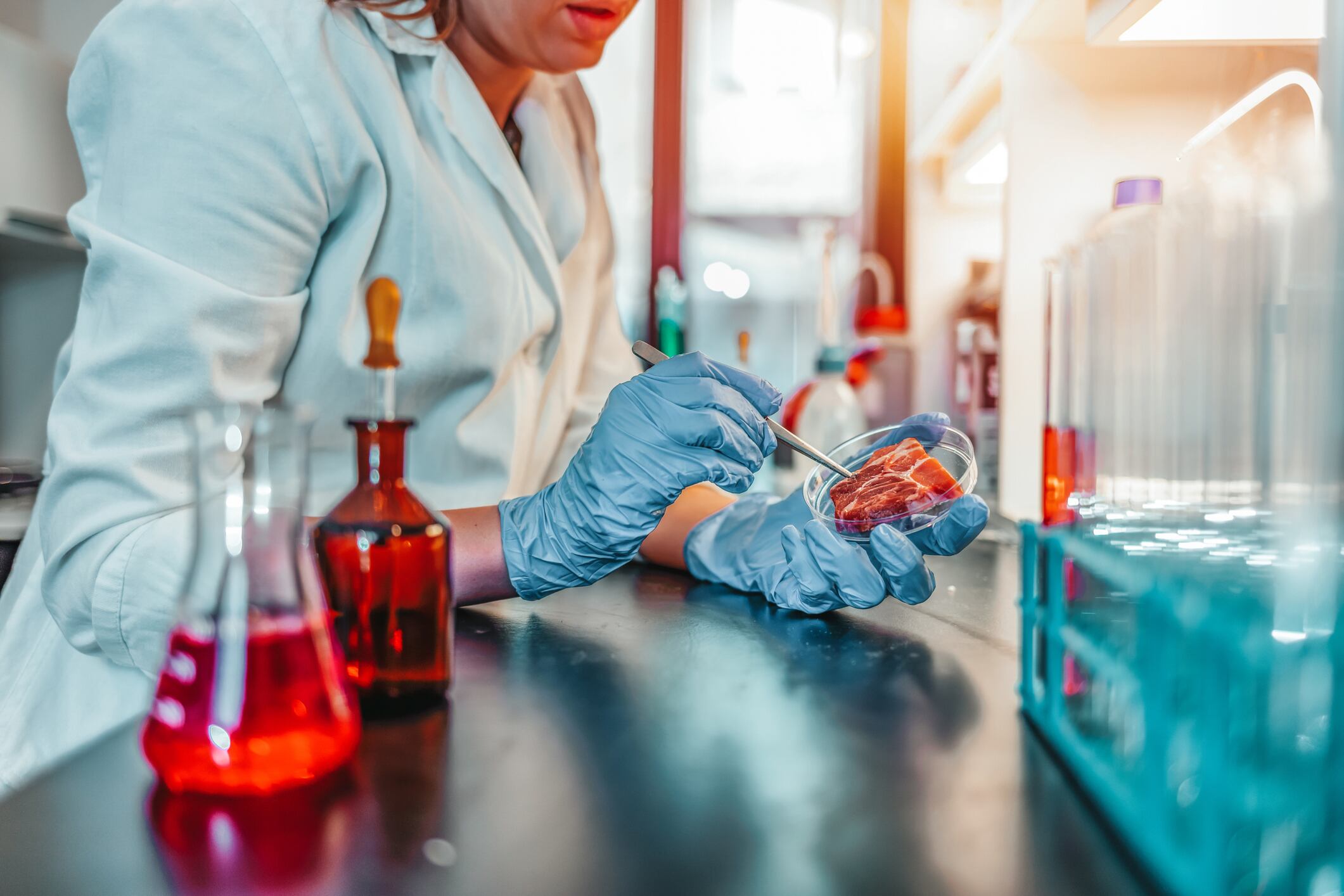 Food quality control, female expert inspecting at meat specimen in the laboratory.