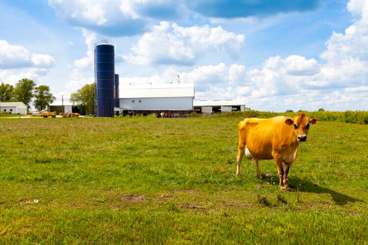 Bipartisan-legislation-introduced-for-Wisconsin-dairy.jpg