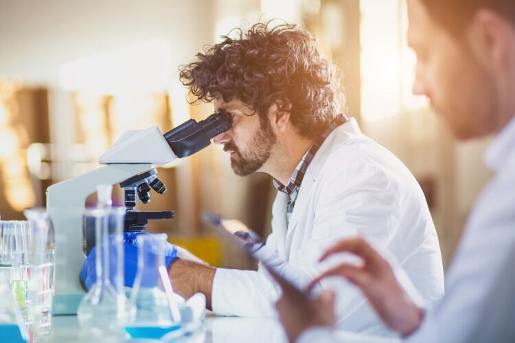 'New frontier in protein innovation': FrieslandCampina Ingredients joins forces with biotech firm Triplebar