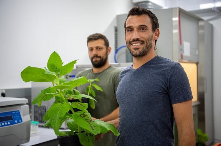 Pigmentum to ramp up casein production in plants with new investment