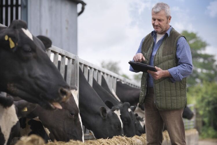 England: Farmers can now apply for Basic Payment Scheme funding