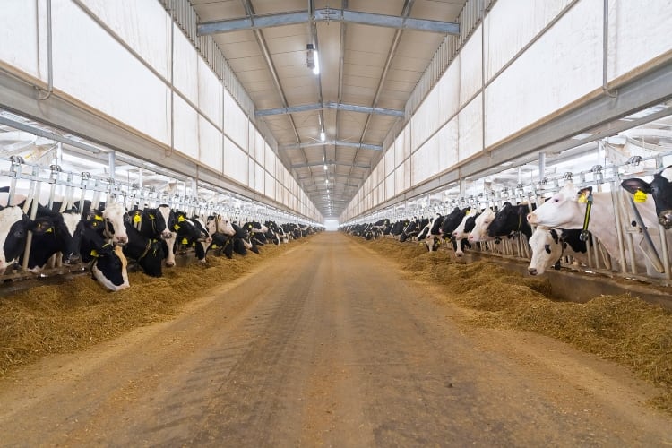 From grass to glass: the case for fully integrated dairy farming