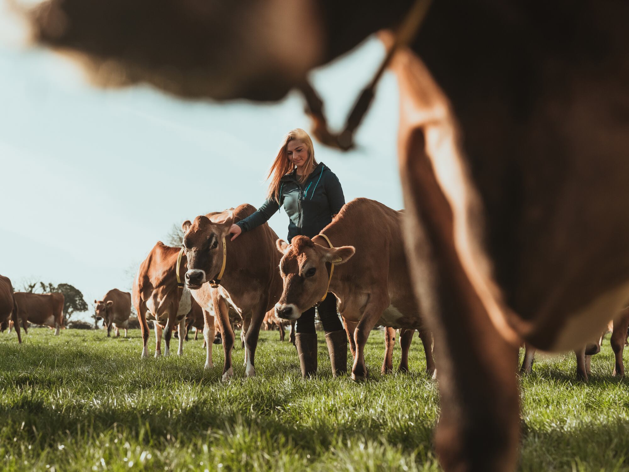 University of Oxford research says that dairy and beef production id responsible for 41% of the biodiversity damage.