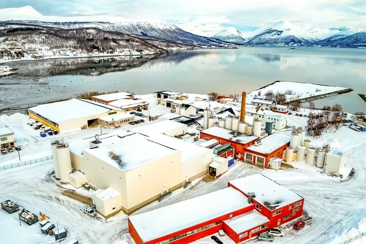 New TINE cheese plant in Norway set to export to South Korea