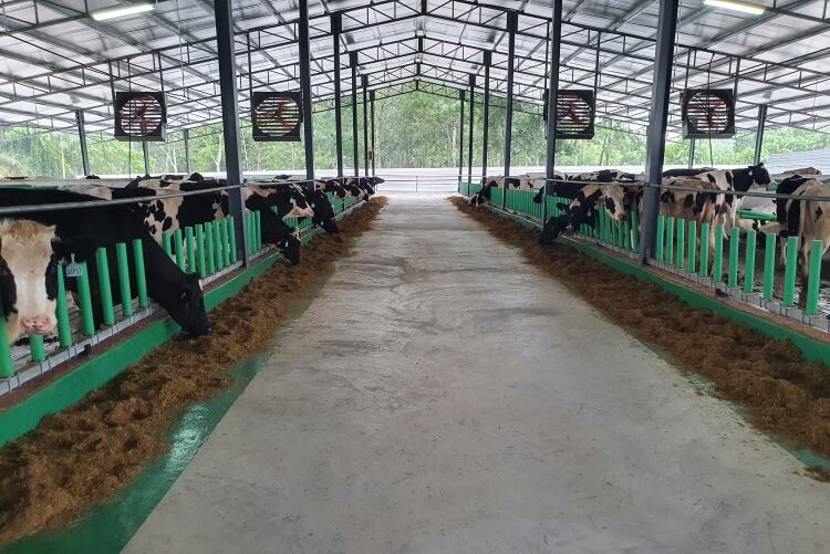 Rhone Ma introduces A2 milk to Malaysia
