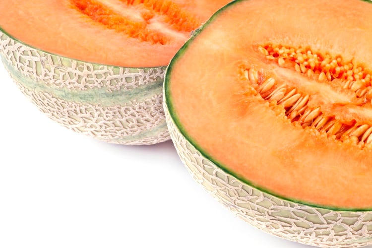 Developing plant-based dairy with melon seed milk: ‘Fermentation generates cheese-like aromas’