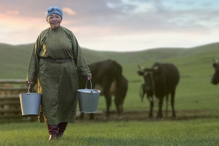 EBRD and XacBank support Mongolian dairy producer Suu Milk