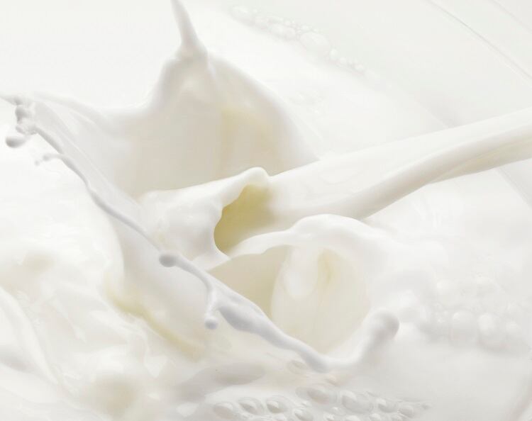 dairy-Chris-Ted-2.jpg