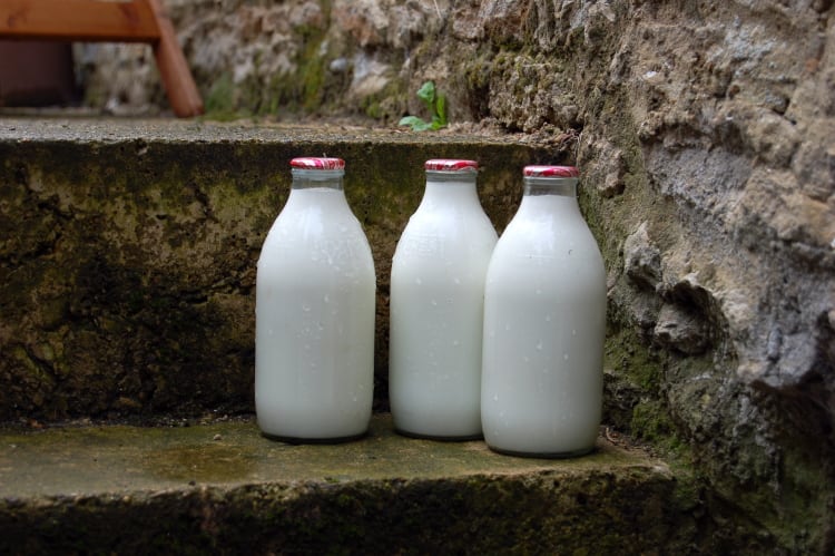 New Zealand raw milk farms pay hefty fines over regulation compliance