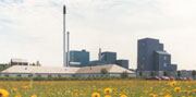 Arala-Foods-Arinco.jpg