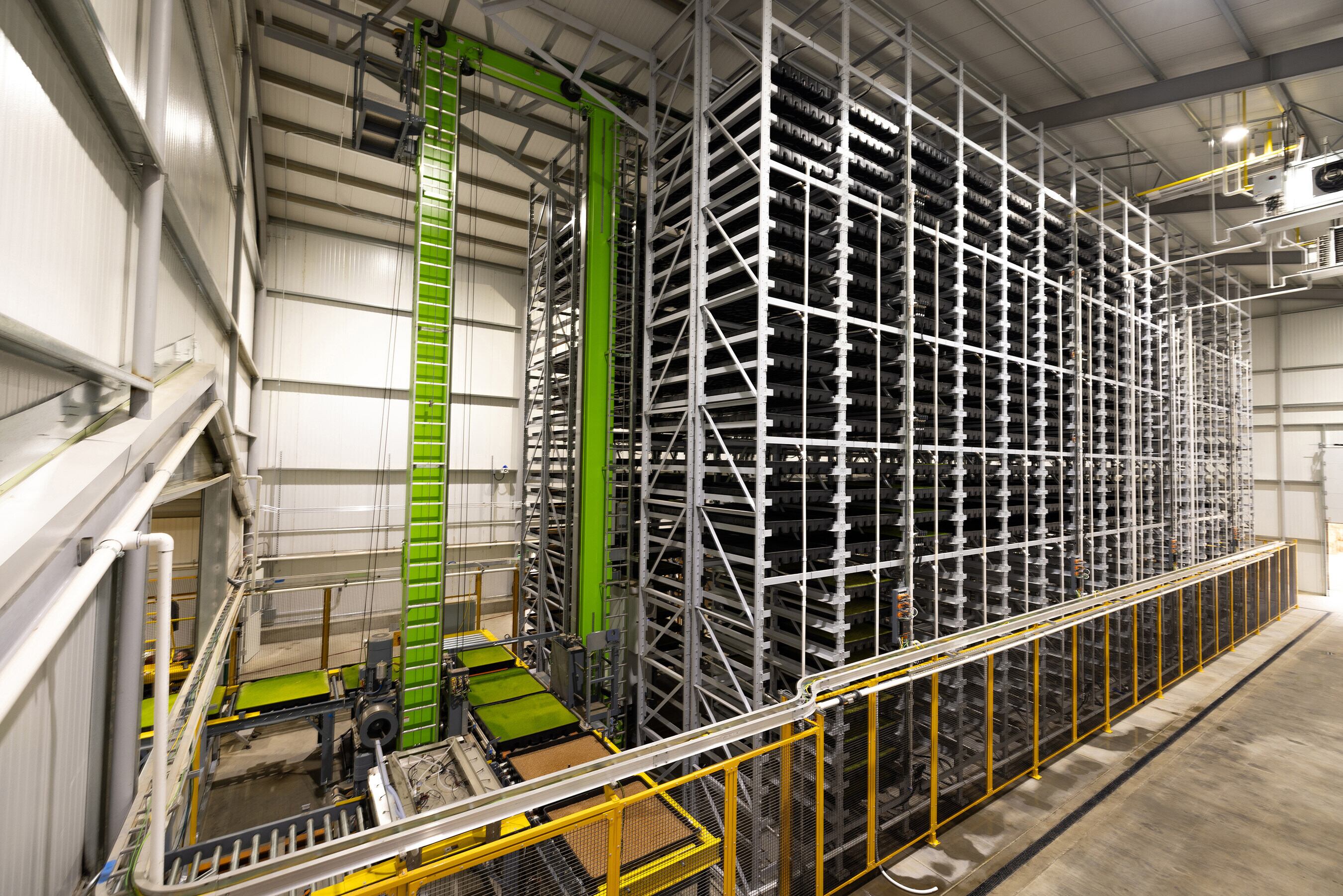 Forever Feed Technologies Innovation Center feed mill in Hanford, California. Construction of commercial scale mills, as early as 2025, will grow up to 50 tons of FFT ASG wheat sprouts daily, capable of supplementing the total feed ration of over 2,500 dairy cows.