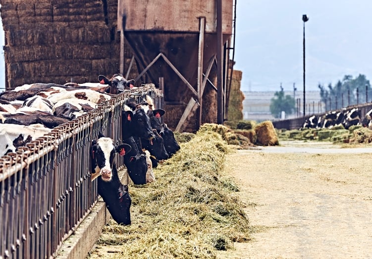 American-Dairy-Coalition-supports-return-to-previous-Class-I-pricing-while-new-options-explored.jpg