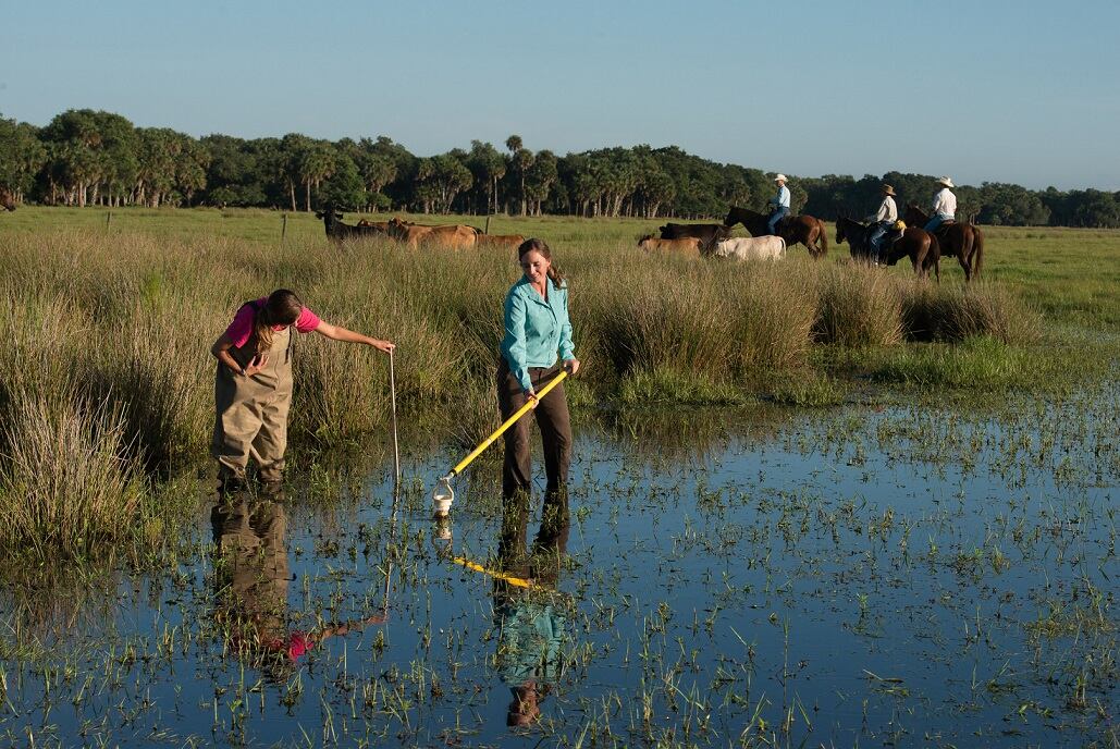 Can cows flip the climate narrative?
