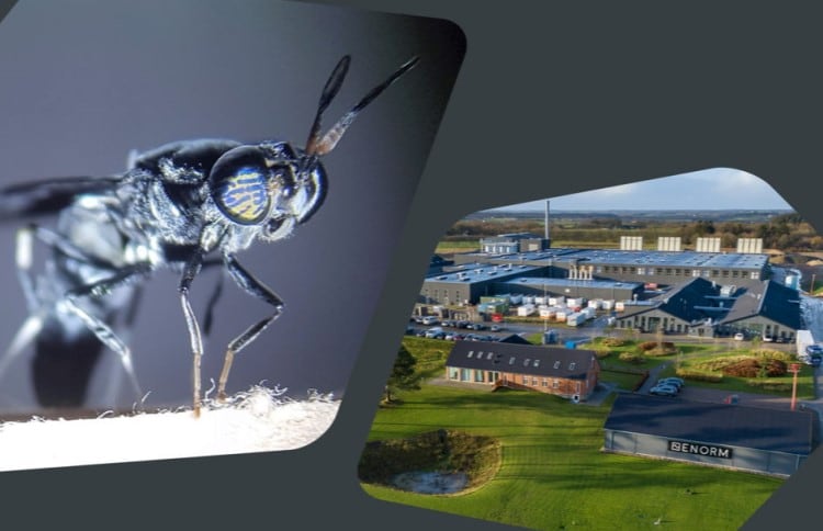 Arla Foods Ingredients teams up with insect farm to upcycle lactose production by-product, reduce food waste