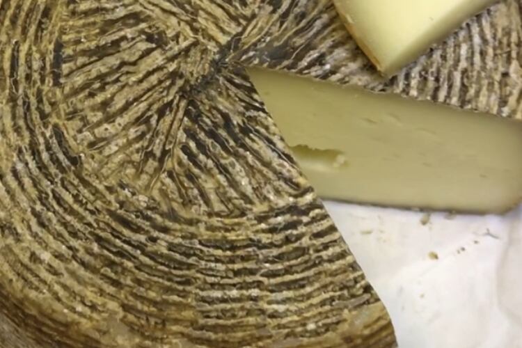 Deadline looms for 2022 World Championship Cheese Contest