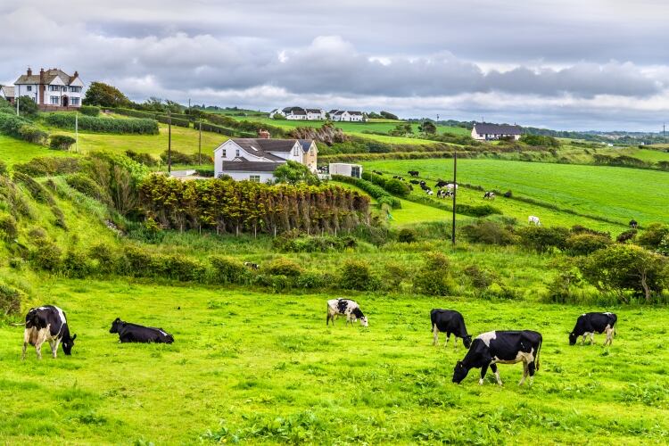 Ulster Farmers’ Union demands dairy processor meeting over milk prices
