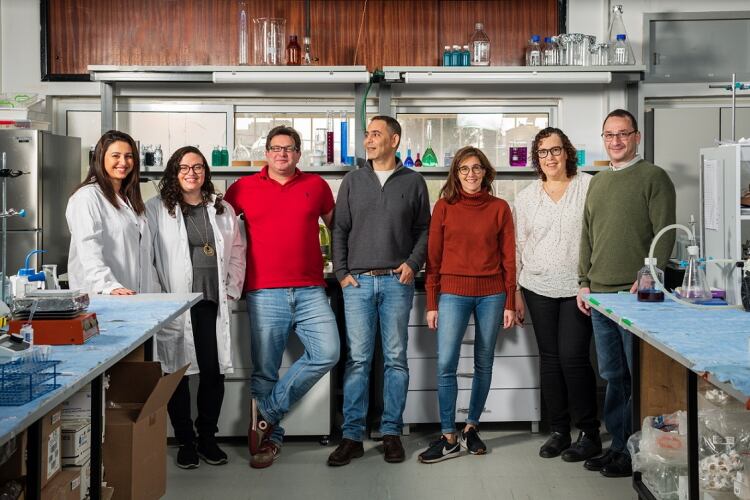 Gavan debuts protein extraction for the zero-waste herd