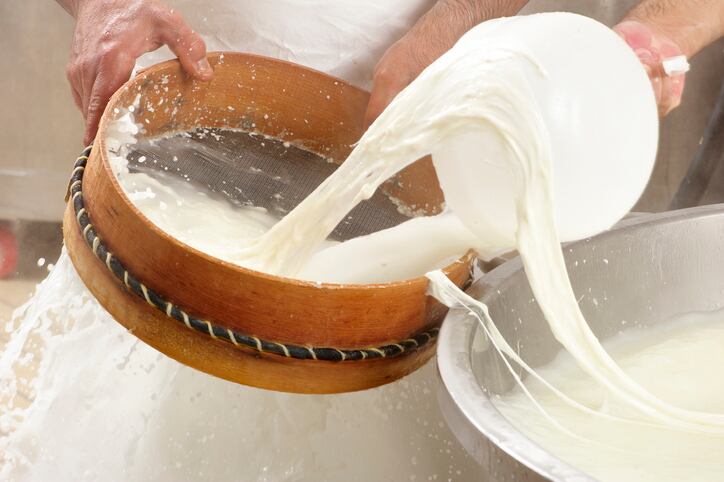 Mozzarella under the microscope: Scientists pinpoint the microbes essential to making the unique Italian cheese