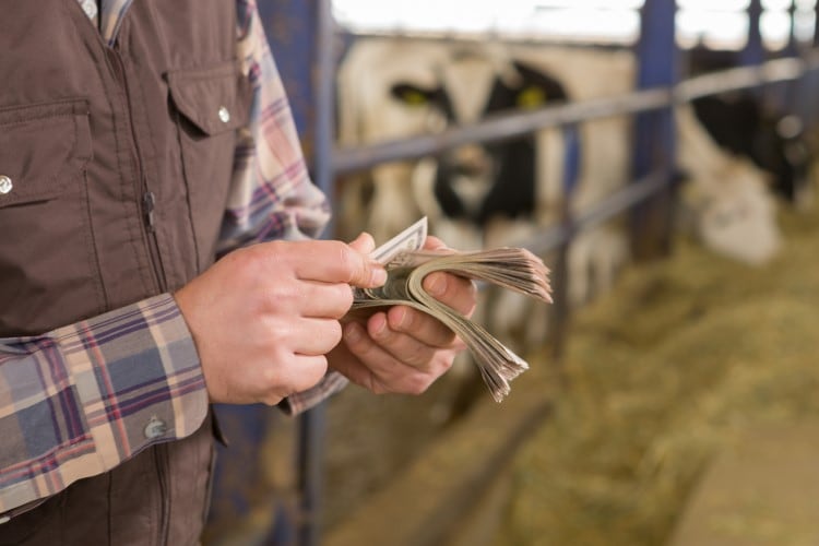 Fonterra lowers FY23 farmgate milk price forecast over soft demand