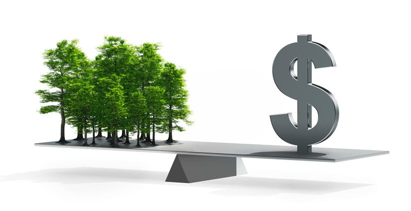 Rabobank urged to cease financing meat and dairy companies fueling climate change 