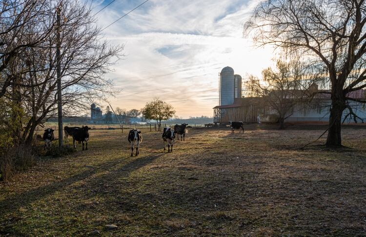 Danone North America expands dairy regenerative agriculture program