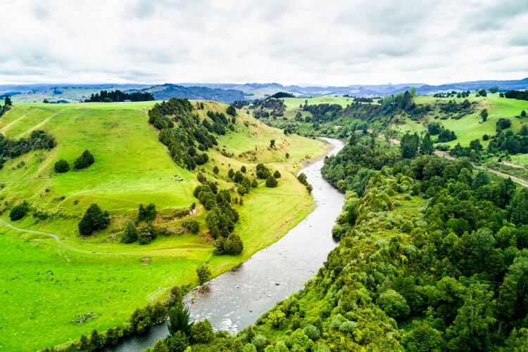 New Zealand Government plans to amend Dairy Industry Restructuring Act
