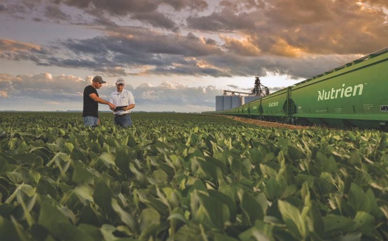 Nutrien signals stabilisation in volatile fertiliser markets as retail arm cushions shocks
