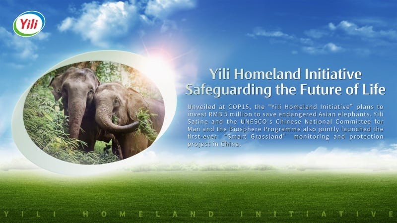 yili-homeland-initiative.jpg