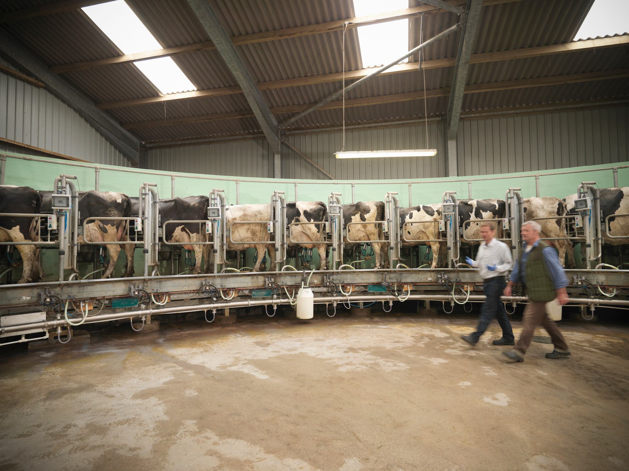 Dairy UK rejects 'mega-dairy' environment claims as The Wildlife Trusts call for tighter regulation.