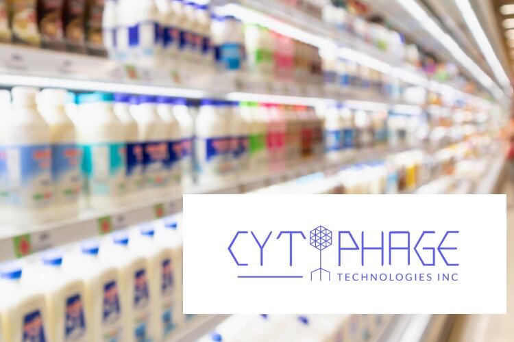 Antibiotic alternatives from Cytophage have big dairy applications