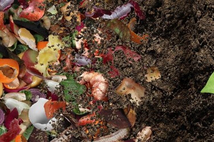 Sidaplax produces PHA home compostable packaging film