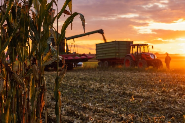 US-dairy-producers-set-for-strong-margins-in-2024-as-milk-prices-surge-and-feed-costs-drop.jpg