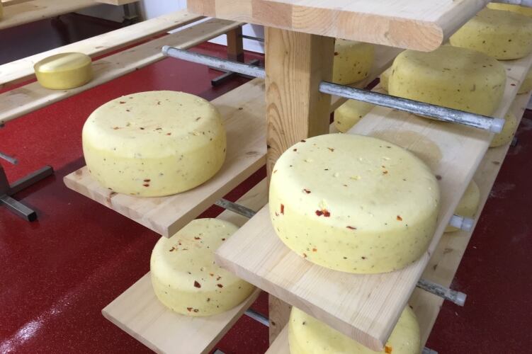 Irish-dairy-exports-to-UK-declined-in-2020-says-Bord-Bia-report.jpg