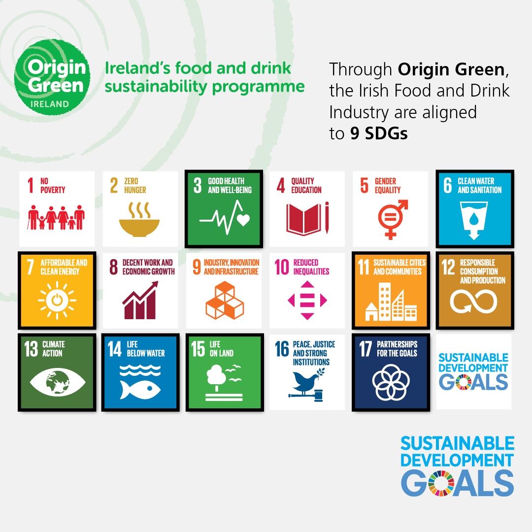 origin-green-info.jpg