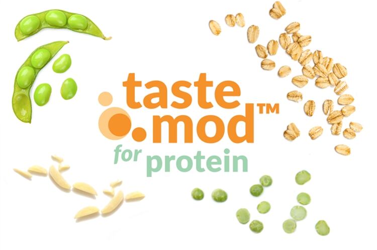 New taste solutions for plant-based protein products