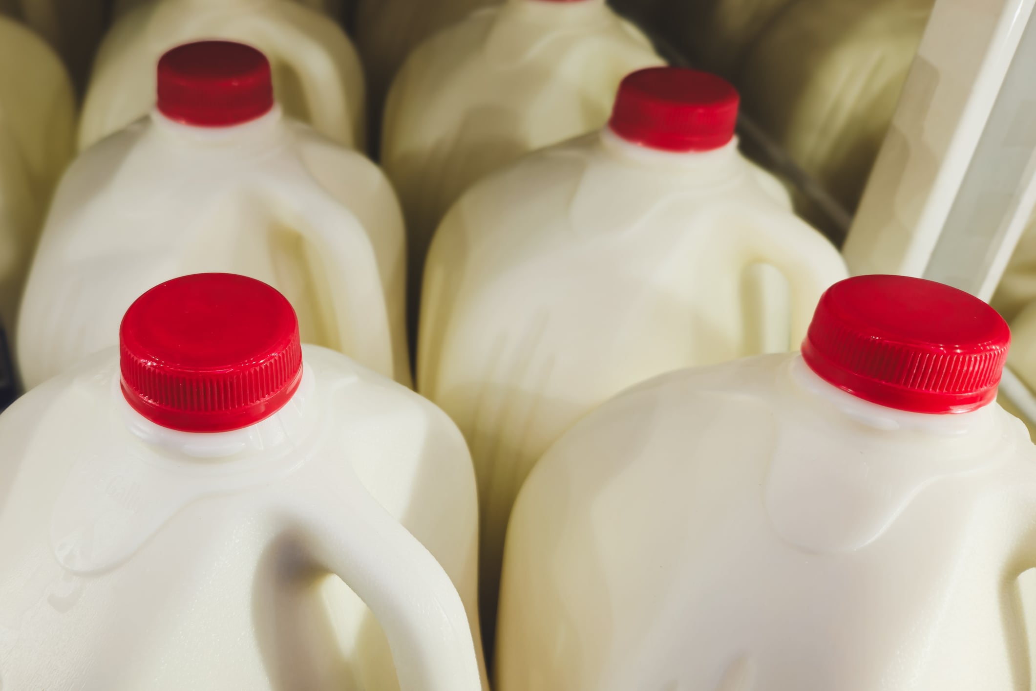As Americans embrace a more nuanced view of nutrition, rising milk consumption and renewed enthusiasm for full-fat dairy are reshaping the category's future.