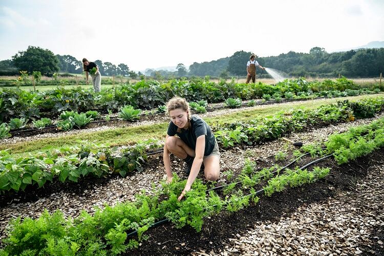 ‘Having a one-size-fits-all view on regenerative ag is very difficult to do’: In search of a definition of ‘regenerative agriculture’