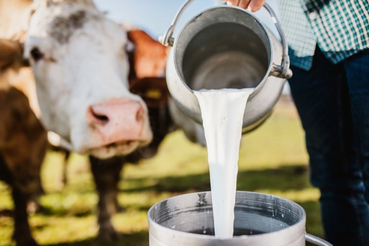 US dairy to benefit from new USDA export support funding