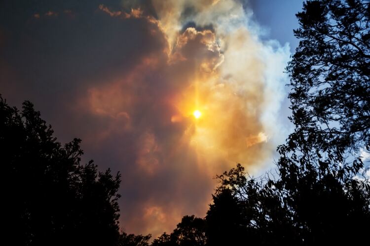 Devastating bushfires affecting Australian dairy industry
