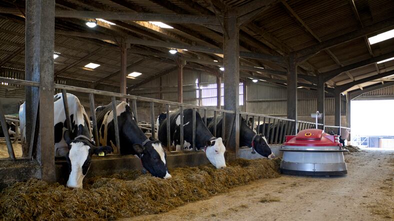 Yeast producer Lallemand develops program to allow dairy nutritionists precisely adjust rations to maximize income over feed costs 